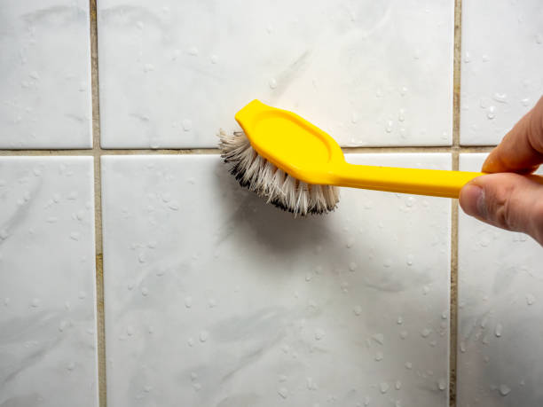 Best Localized Mold Remediation (e.g., coastal areas, humid climates) in Black River Falls, WI