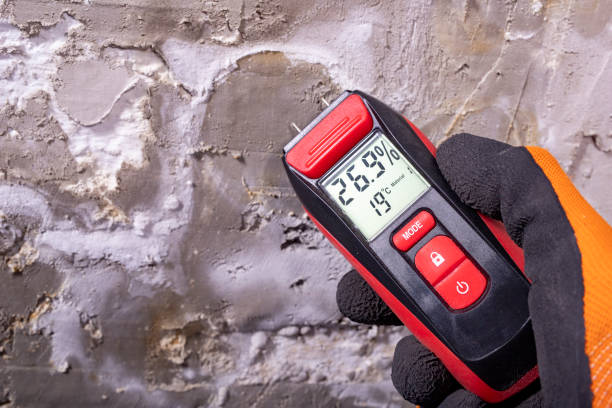 Best Mold Testing and Inspection Services in Black River Falls, WI